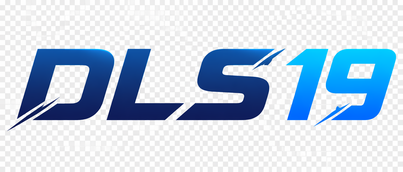 DLS 19 Logo
